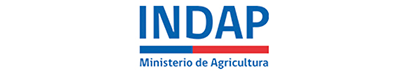 logo-indap1